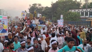 শিবপুরে ধানের শীষ প্রতিকের পক্ষে জনসভা ও মিছিল, দলীয় প্রার্থী মনোনয়নের দাবি